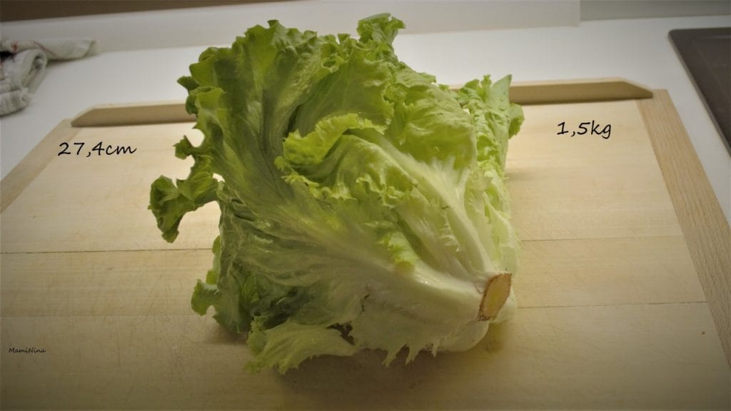 Nosečniški dnevnik 2: 31. teden nosečnosti