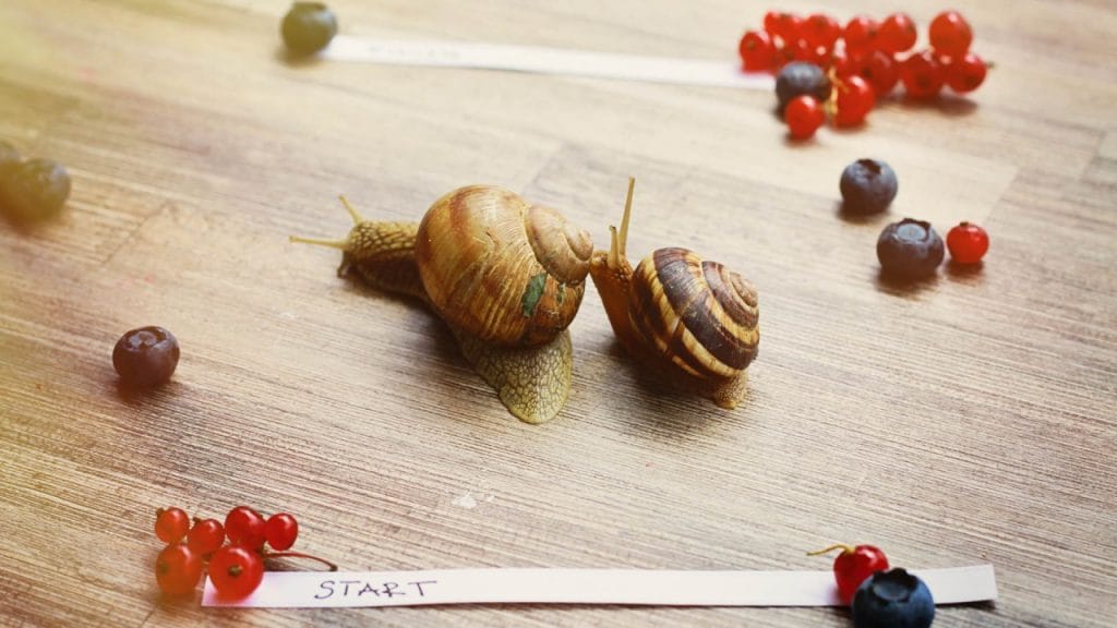 Spravite otroke iz hiše