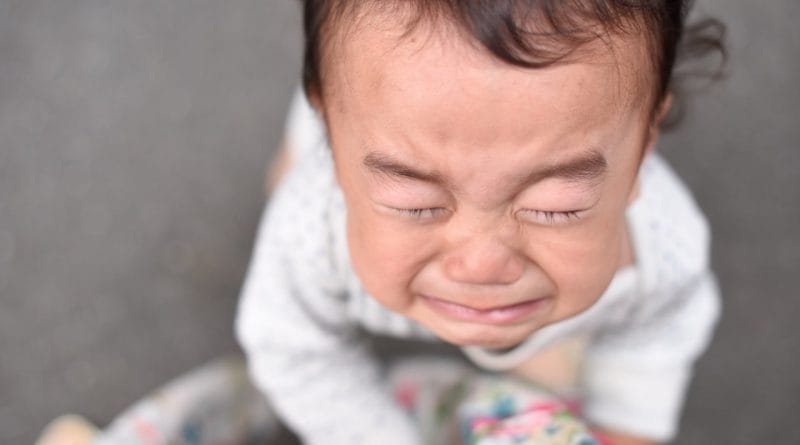 Katero je najbolj napačno prepričanje o trmi?