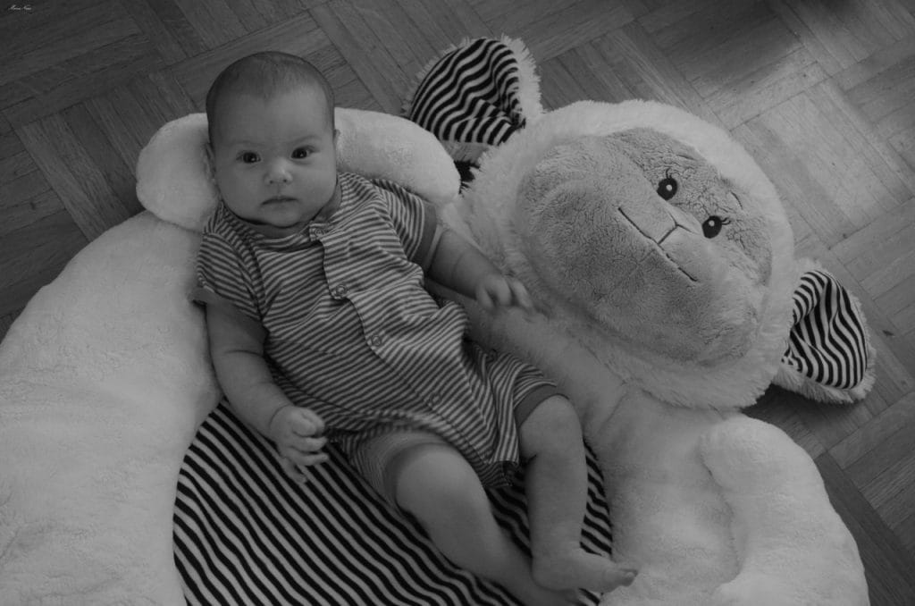 Nič več nosečka Nina