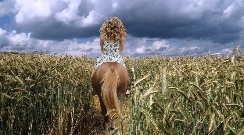 Prtljaga iz otroštva - preživetvene strategije II. del