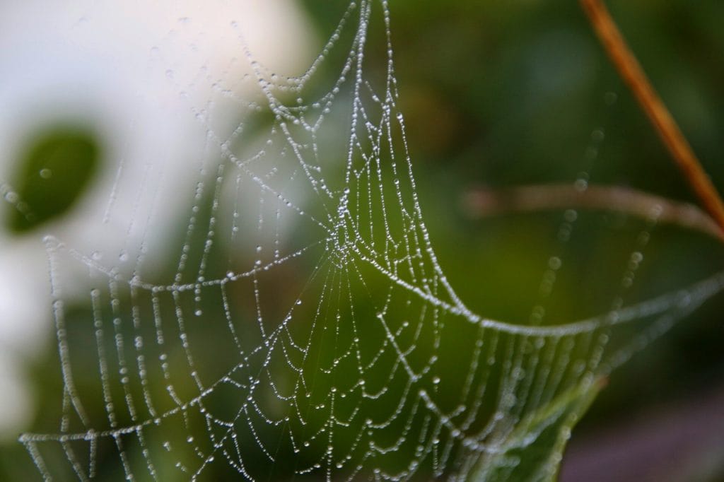 Čustveno izsiljevanje - vas čustveno izsiljujejo?