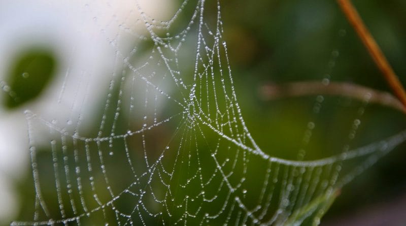 Čustveno izsiljevanje - vas čustveno izsiljujejo?