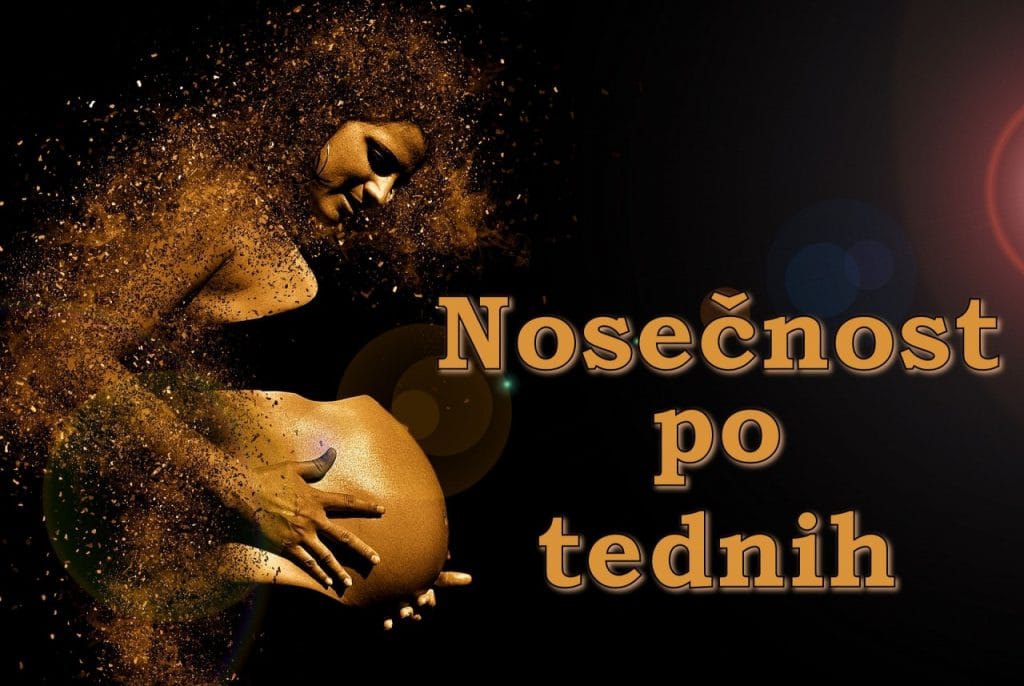 Nosečnost po tednih