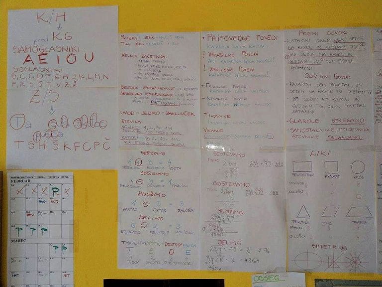 "V današnjem šolskem sistemu se učijo veliko neumnosti in balasta", pravi Alenka