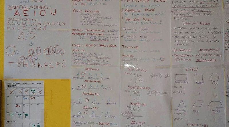 "V današnjem šolskem sistemu se učijo veliko neumnosti in balasta", pravi Alenka