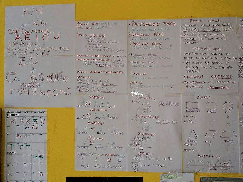 "V današnjem šolskem sistemu se učijo veliko neumnosti in balasta", pravi Alenka