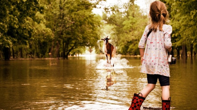 Skrivnosti marčevskih otrokSkrivnosti marčevskih otrok