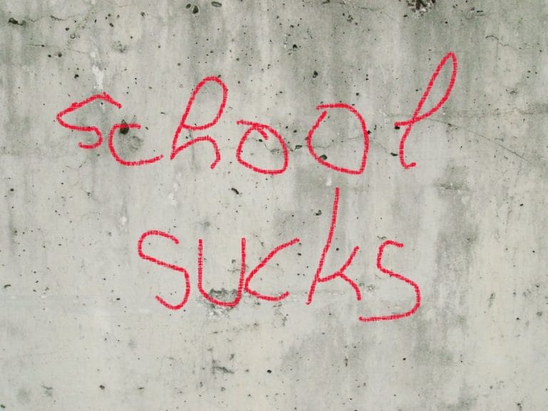 School sucks