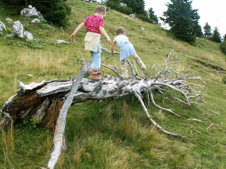 Obdobje kompetence: od 5 - 7 let