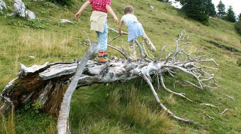 Obdobje kompetence: od 5 - 7 let