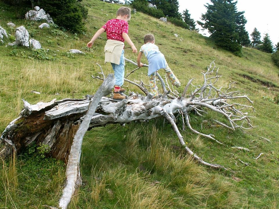 Obdobje kompetence: od 5 - 7 let