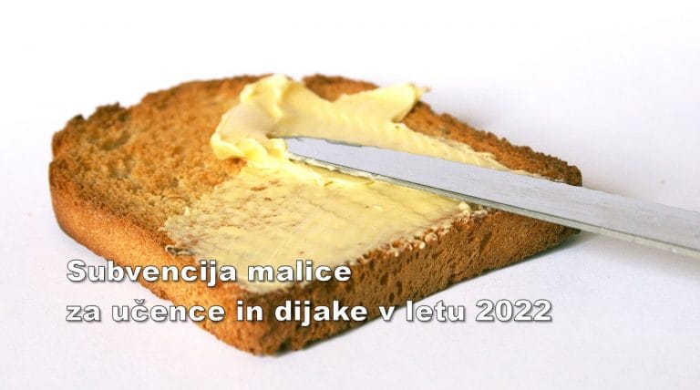 Subvencija malice za učence in dijake v letu 2022