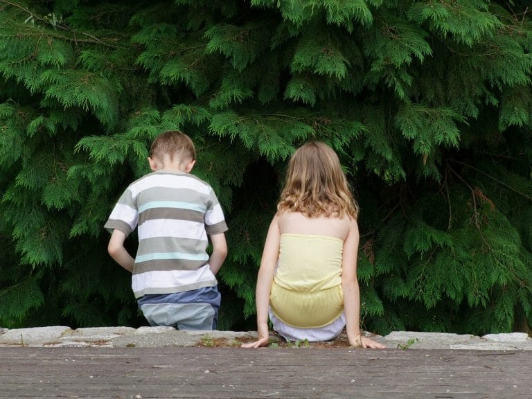 Napeti odnosi med sorojenci in energetska izčrpanost