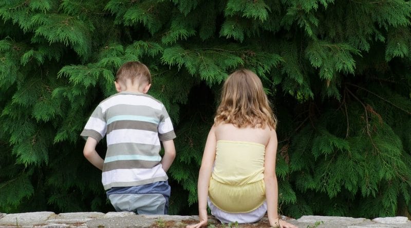 Napeti odnosi med sorojenci in energetska izčrpanost