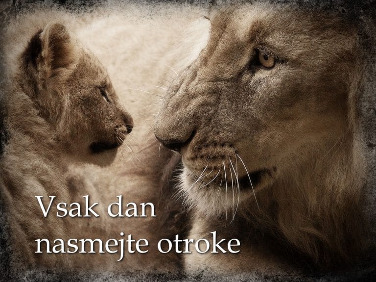 Zagotovljeno manj drame in več ljubezni