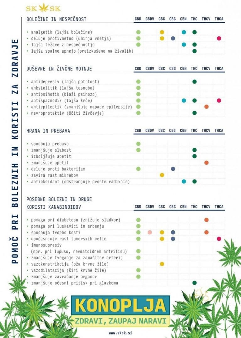 Sami sebi zdravilo in bolezen