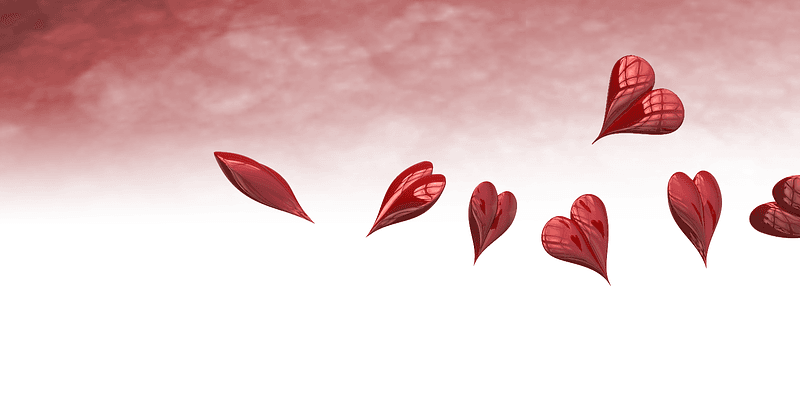 Nisva več zaljubljena. Verjetno nisva za skupaj!