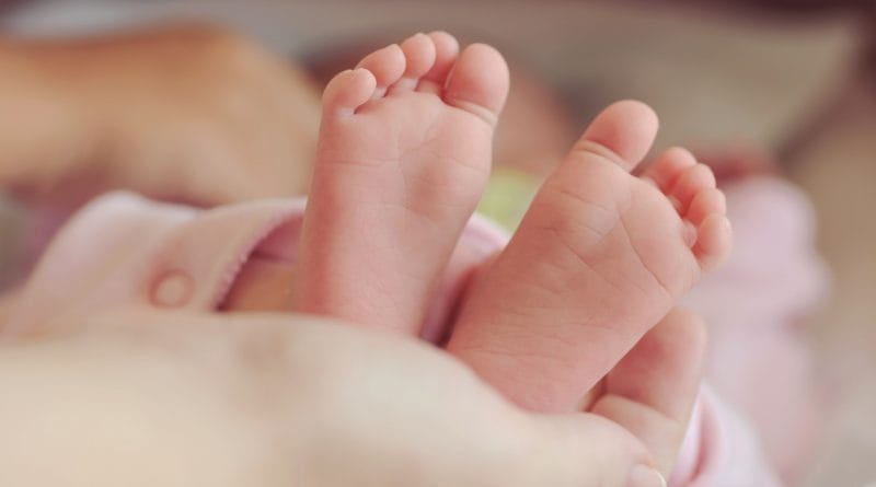 Koliko stane NIFTY test?