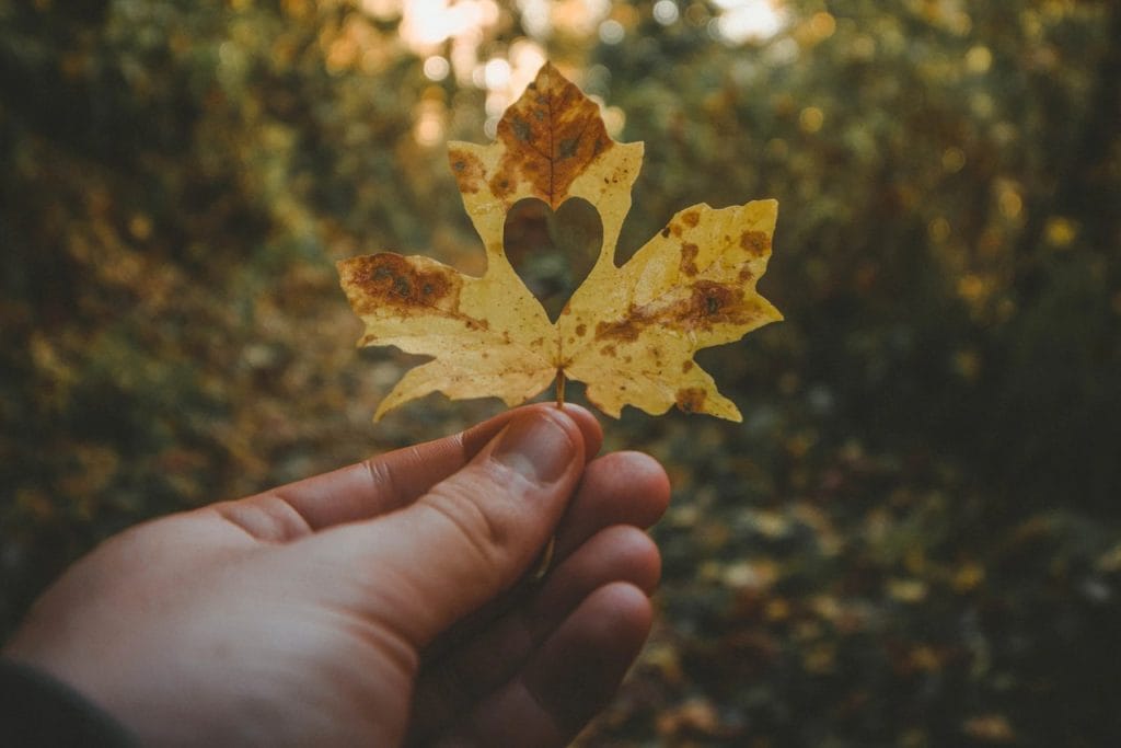 Niti en svet ni popoln, niti en človek ni cel in niti ena hiša ni brez napak