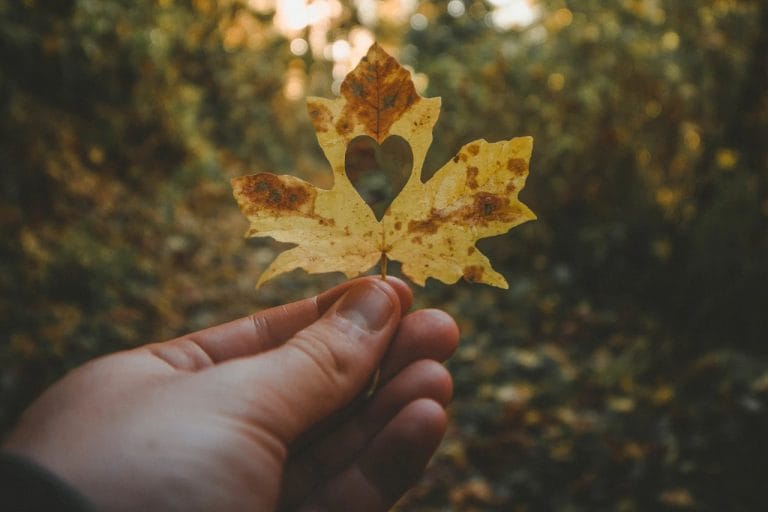 Niti en svet ni popoln, niti en človek ni cel in niti ena hiša ni brez napak