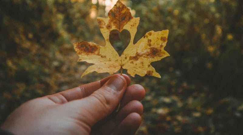 Niti en svet ni popoln, niti en človek ni cel in niti ena hiša ni brez napak