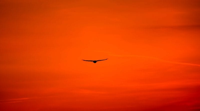 Temelji zavestne vzgoje - odpuščanje