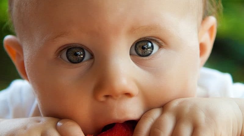 BLW (Baby led weaning) - priljubljena praksa uvajanja hrane