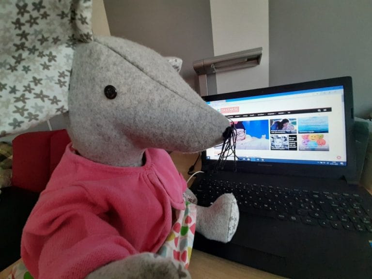 Miška Miša se predstavi