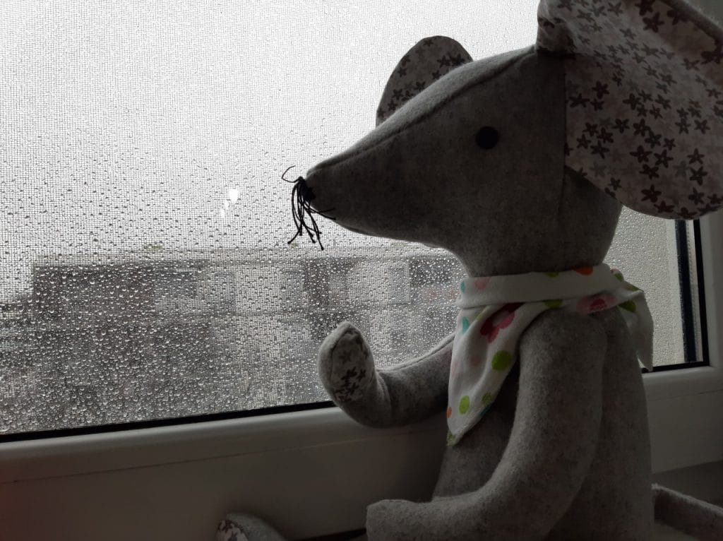 Ali oblački potrebujejo hlačke?