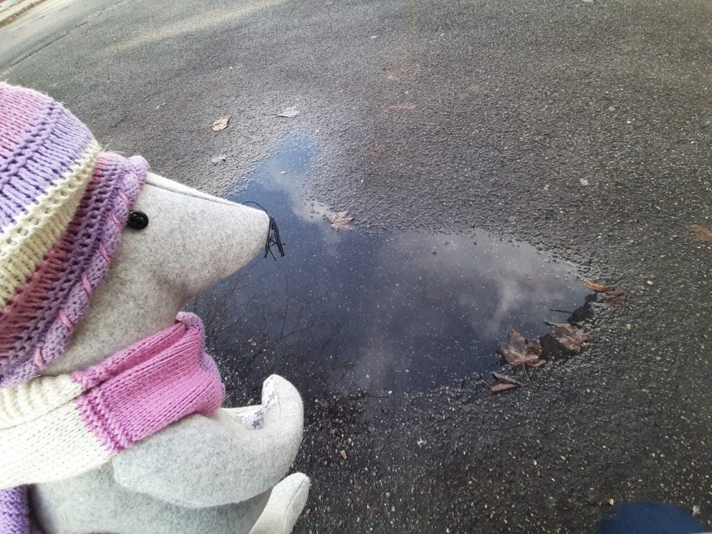 Ali oblački potrebujejo hlačke?