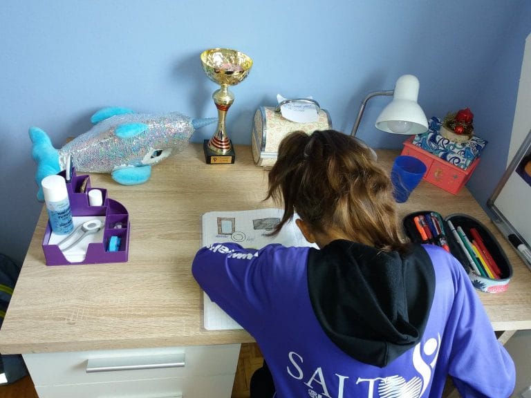 Kako izgleda pri nas šolanje doma