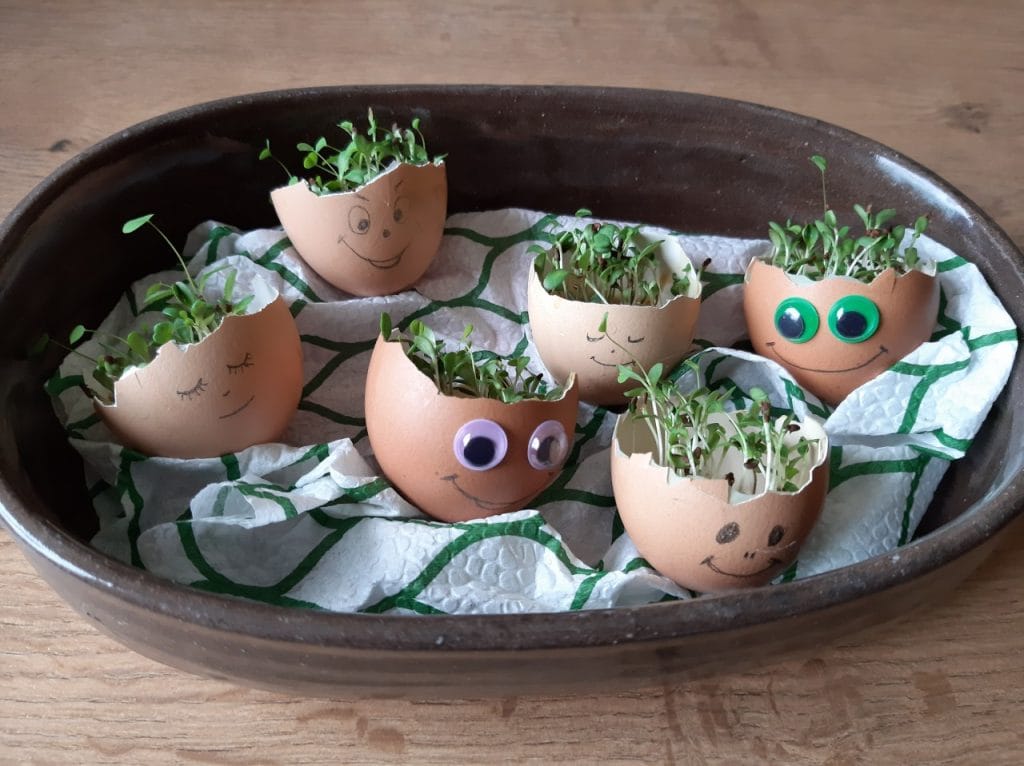 Dan zemlje - možiclji v jajčnih lupinah