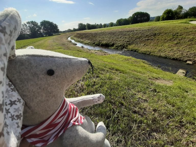 Kolesarski potep¸¸