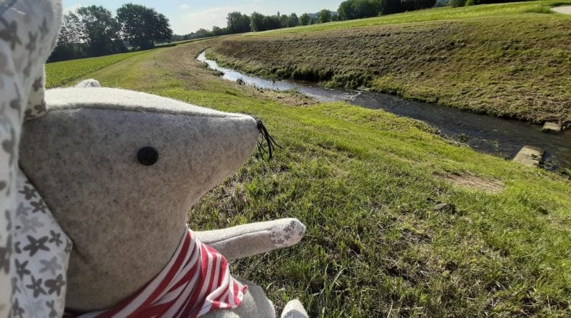 Kolesarski potep¸¸