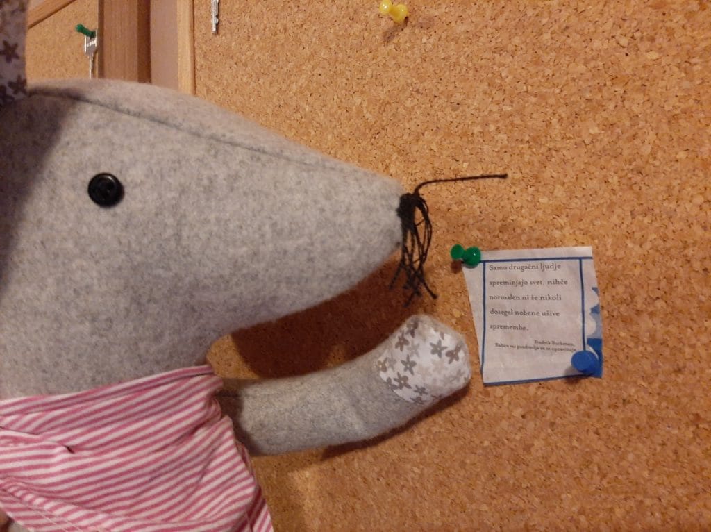 Kako pa lahko jaz polepšam svet?