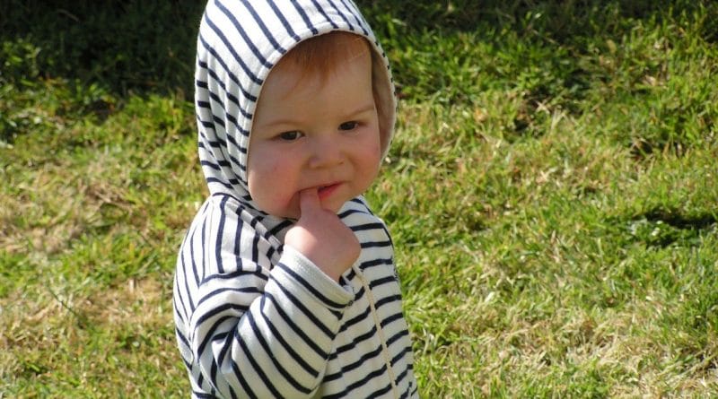 Uvajanja v vrtec ravnatelji ne morejo prepovedati