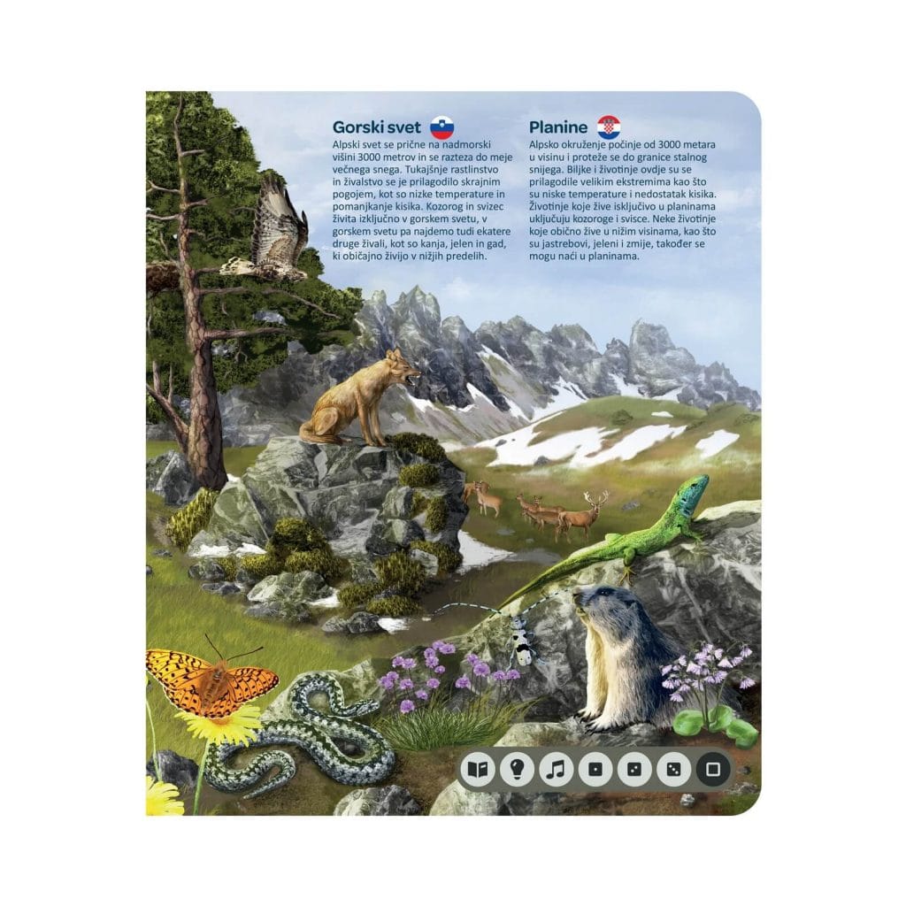 Kuku, ena (naj)boljših idej za darilo je tu!