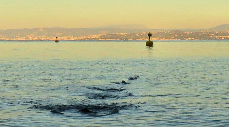 Zaprla sem računalnik in odprla steklenico piva Happy beer