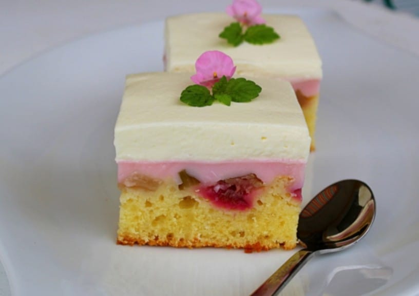 Damske jogurtove rezine