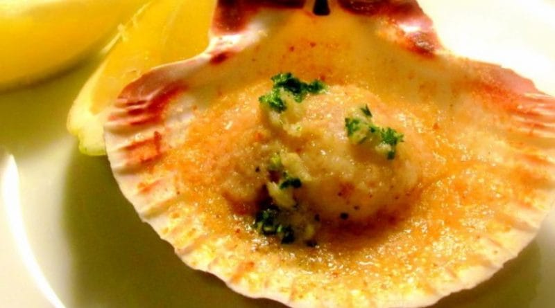 Gratinirane kapesante