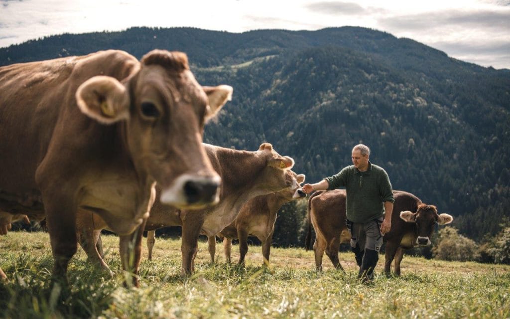 Ljubljanske mlekarne spodbujajo družbeno odgovornost med dobavitelji