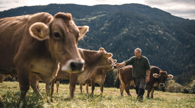 Ljubljanske mlekarne spodbujajo družbeno odgovornost med dobavitelji