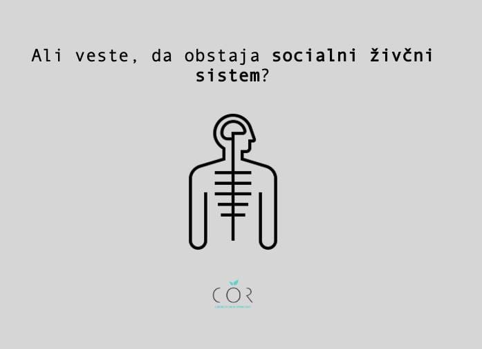 Socialni živčni sistem