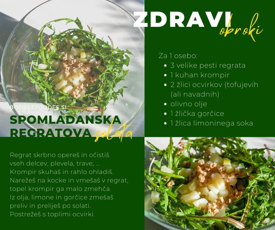 Spomladanska regratova solata